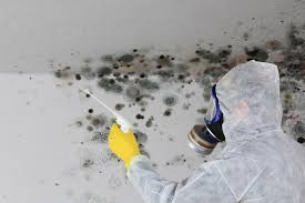 Best Comprehensive Air Testing for Mold Contaminants  in Sunrise, FL